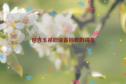 包含玉祁舊設(shè)備回收的詞條